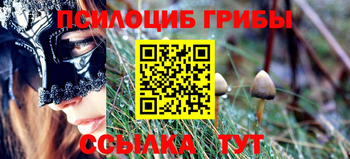 Галлюциногенные грибы Psilocybe Златоуст
